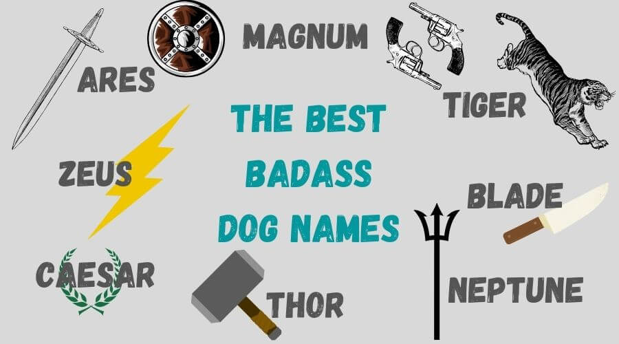 the best badass dog names