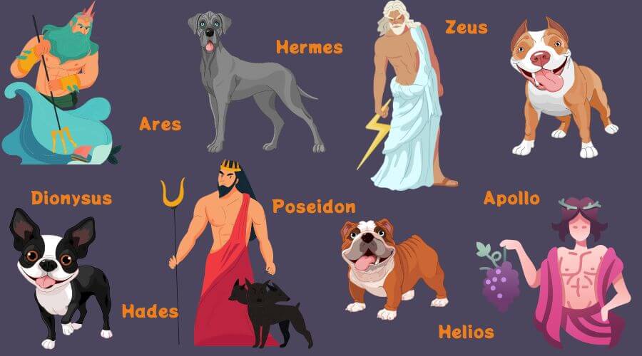 greek dogs dog names