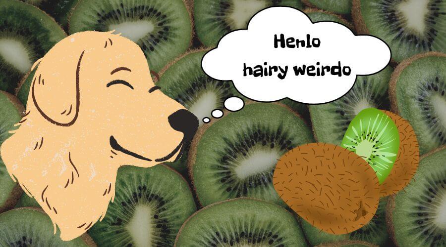are kiwis beneficial for dogs? health benefits