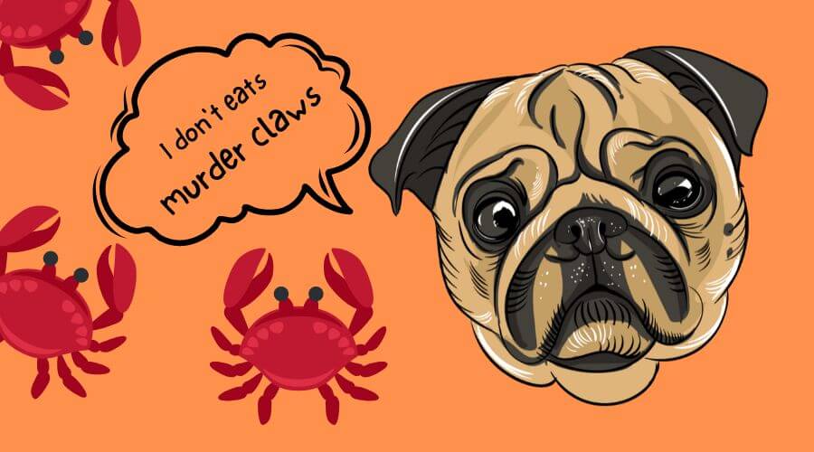 is crab good for dogs