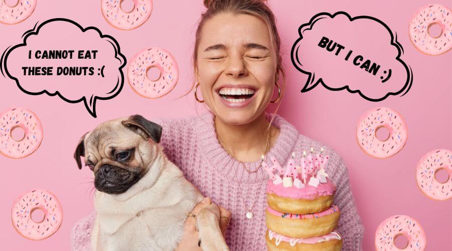 can dogs eat donuts? let's see