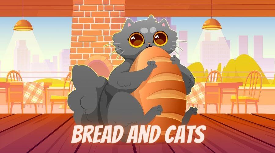 why do cats eat bread