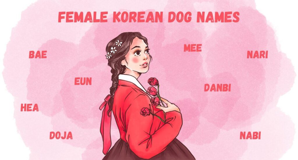 female korean dog names