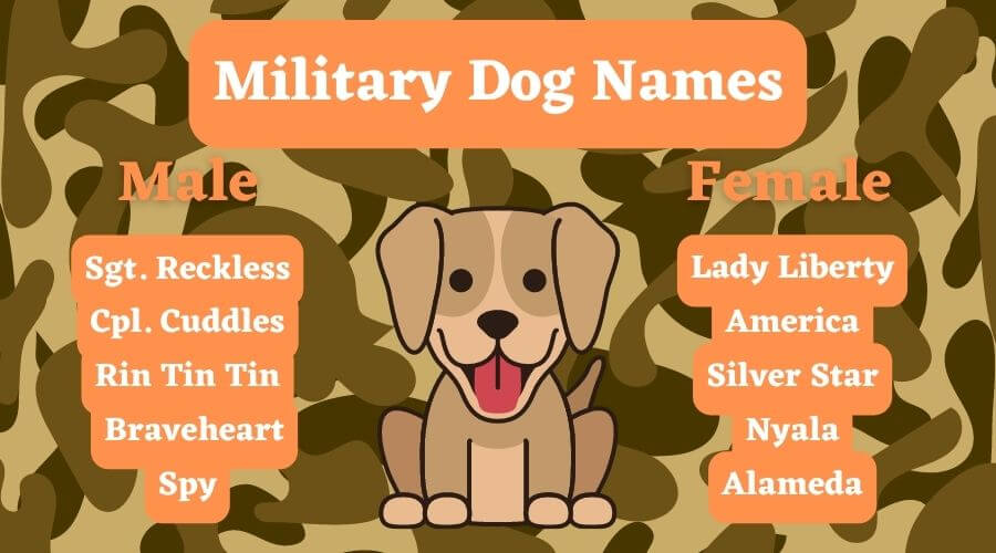military dog names inspired by war heroes