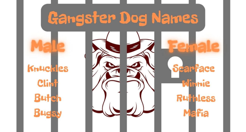 badass dog names based on their breed