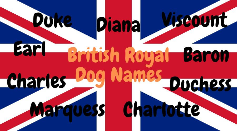 British dog names inspired by famous people