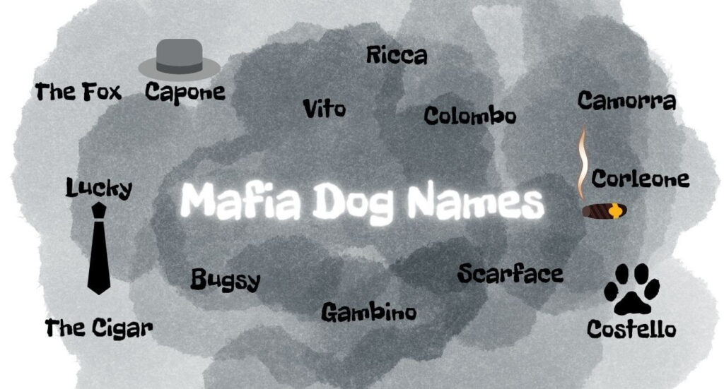 female gangster dog names