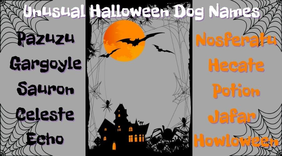 unusual halloween names for dogs