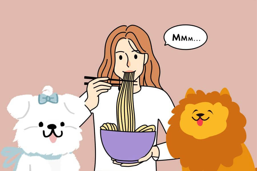 Can Dogs Eat Noodles? Summary
