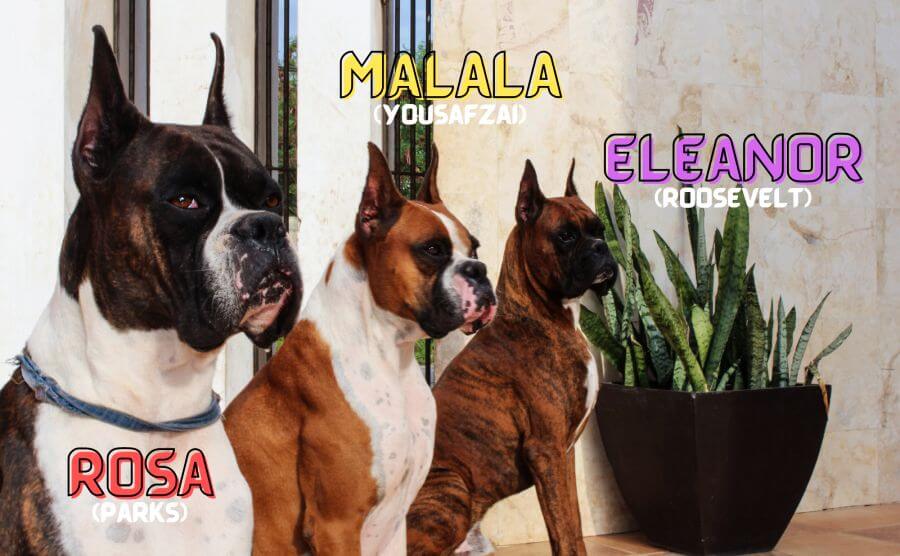 Names for Female Dogs From Other Badass Women