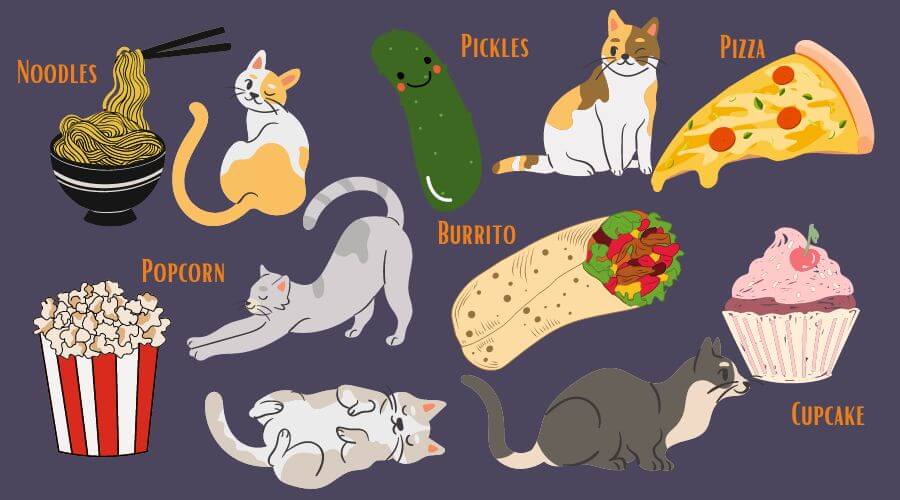 10 most popular cat names inspired by food