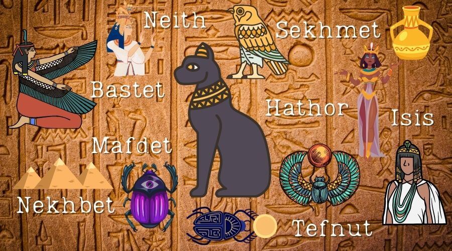 8 female Egyptian cat names inspired by goddesses