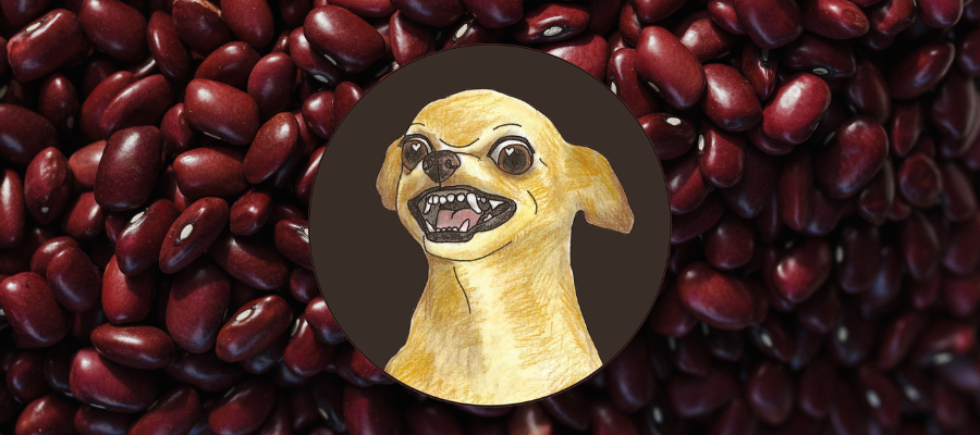 Can dogs eat kidney beans