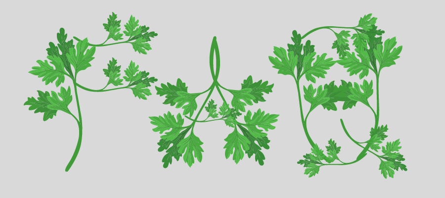 Can Dogs Eat Parsley FAQs