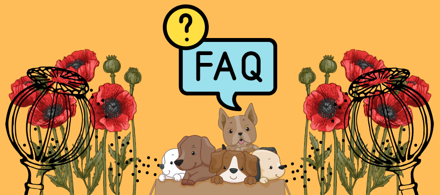 Can Dogs Eat Poppy Seeds FAQs