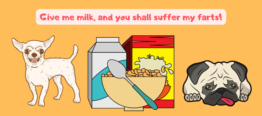 Can You Feed Your Dog Cereal with Milk