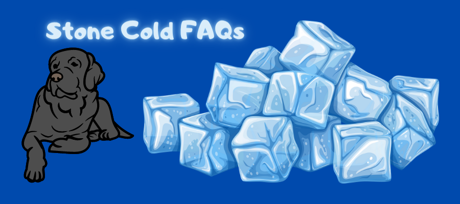 Can dogs eat ice FAQs