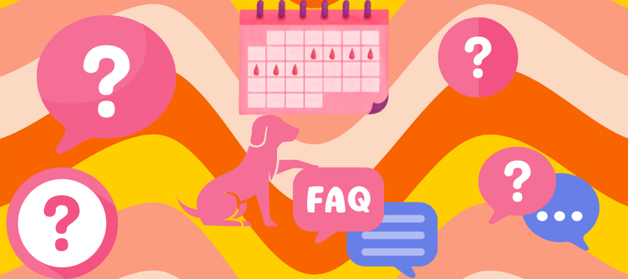 Do Dogs Have Periods FAQs