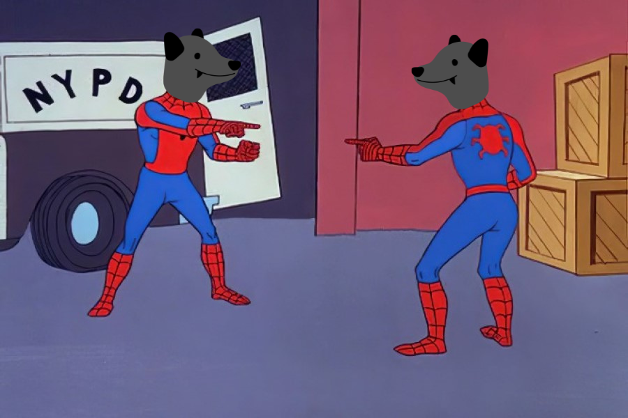 Funny Dog Name Inspired by Pop Culture