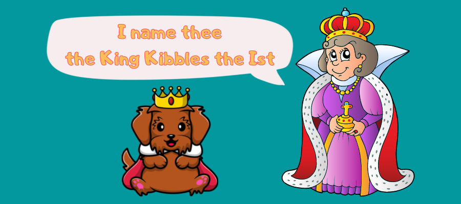 Funny Dog Names for a Royal Pooch