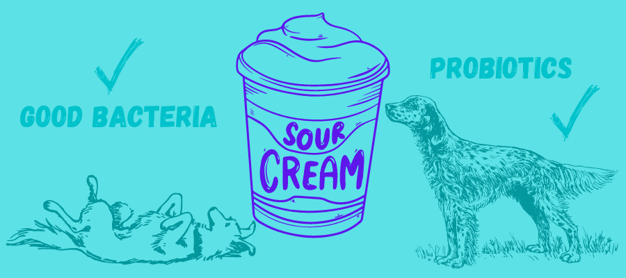 How Can Sour Cream Be Good for Dogs