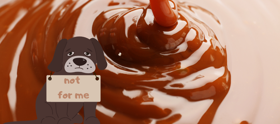 Is Caramel Toxic to Dogs