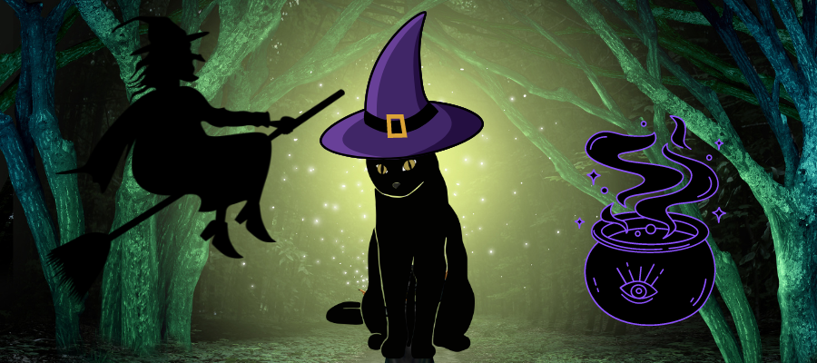 Salem – The Most Popular Black Cat Name