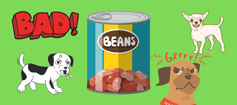 Steer Clear of Canned Beans