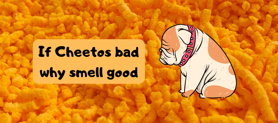 Why Do Pups Crave Cheetos If the Puffs Are Not Good for Dogs?