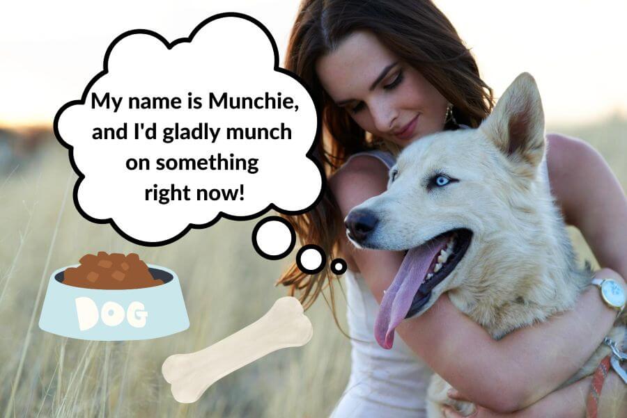Boy Dog Name Ideas for Foodies
