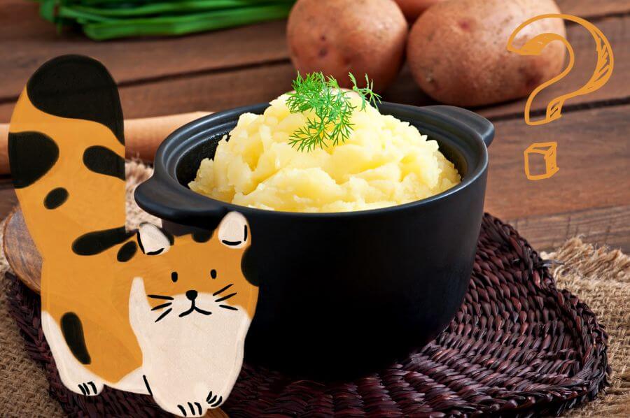 Can Cats Eat Cooked Potatoes?
