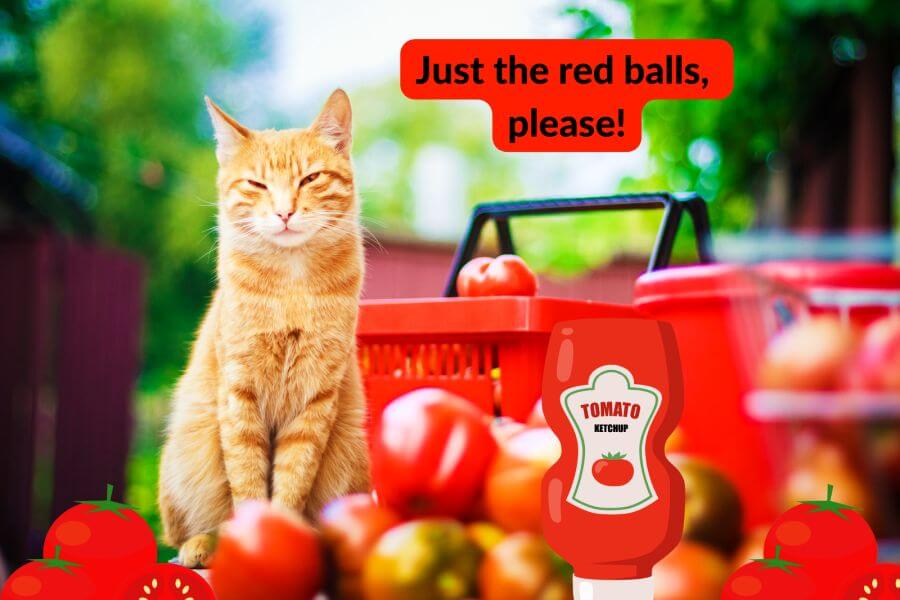 Can Cats Eat Tomato Products Like Ketchup?