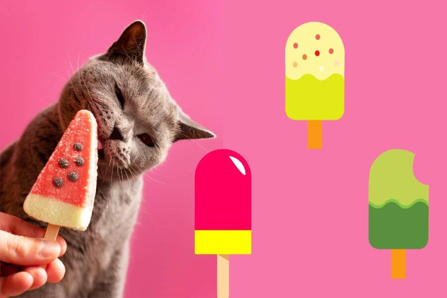 Can Cats Have Sorbet?