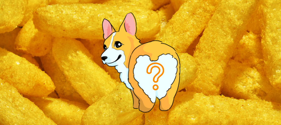 Can Dogs Eat Cheetos? The Bottom Line