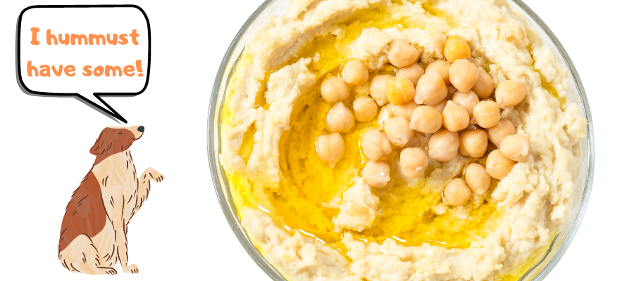 can dogs eat chickpeas in hummus
