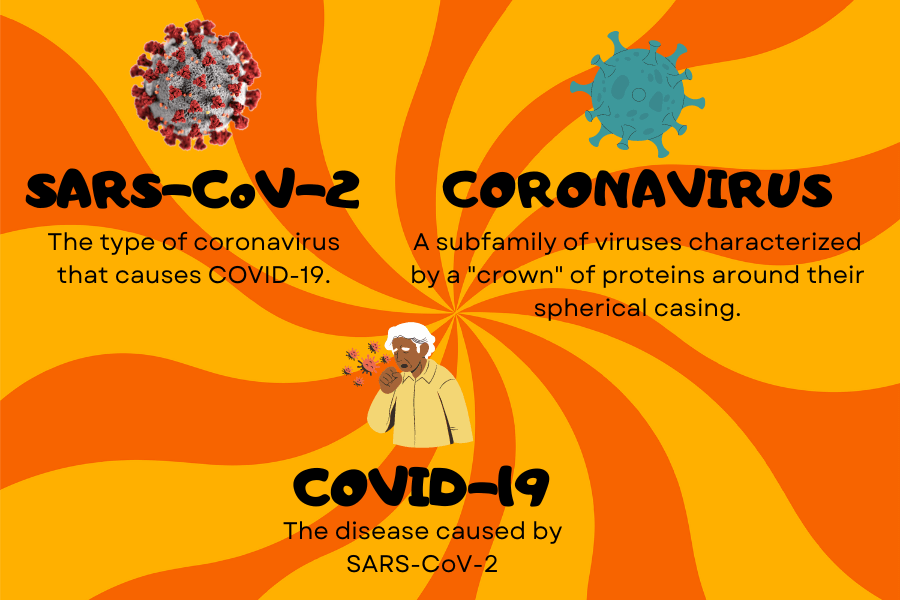 Coronavirus, COVID-19, SARS-CoV-2 – What's the Difference?