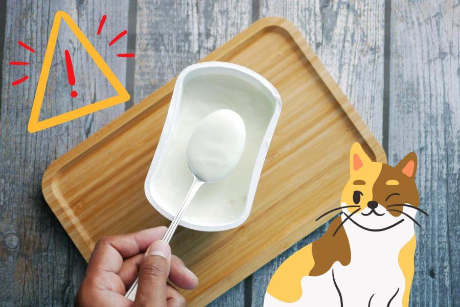 Feed Your Cat Yogurt With Caution