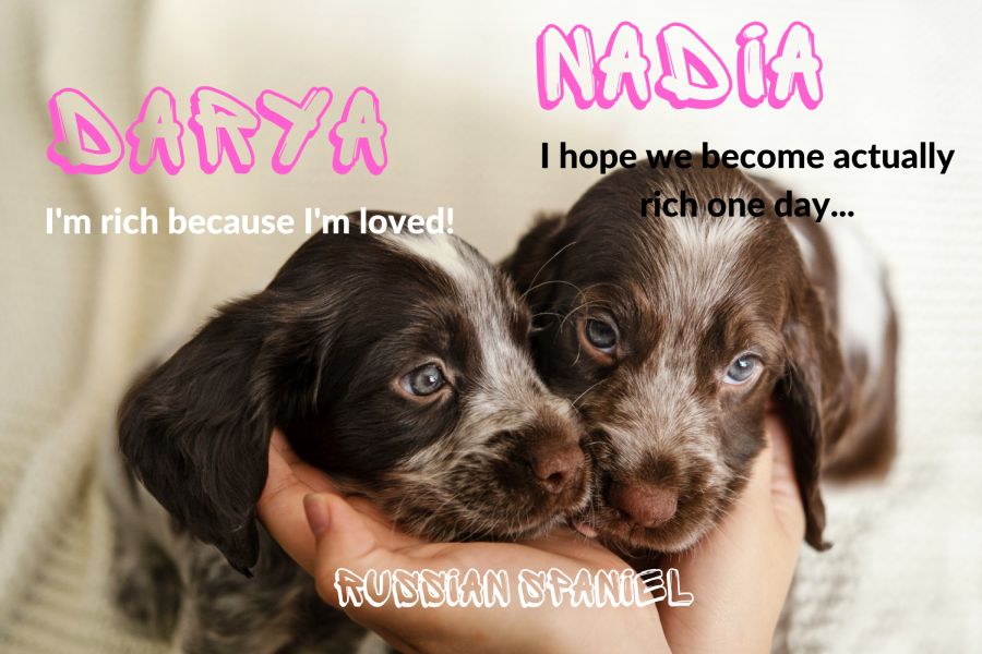 Female Russian Dog Names on the Unique Side