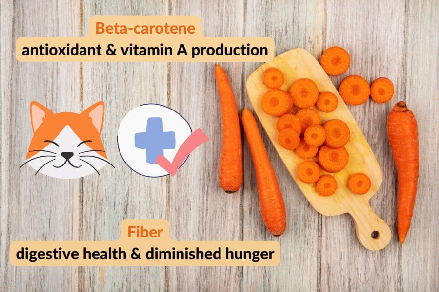 Health Benefits of Carrots for Cats