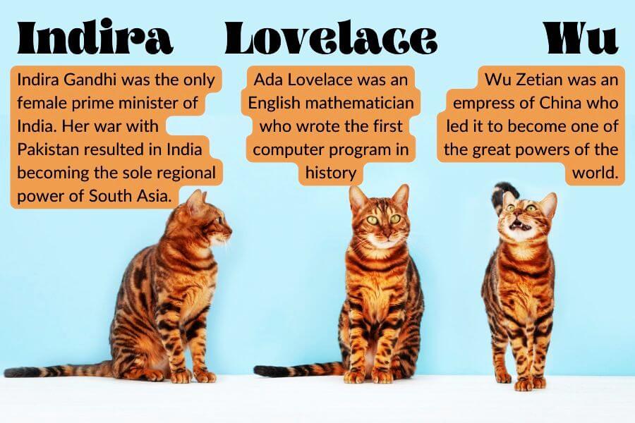 History-Inspired Powerful Female Cat Names