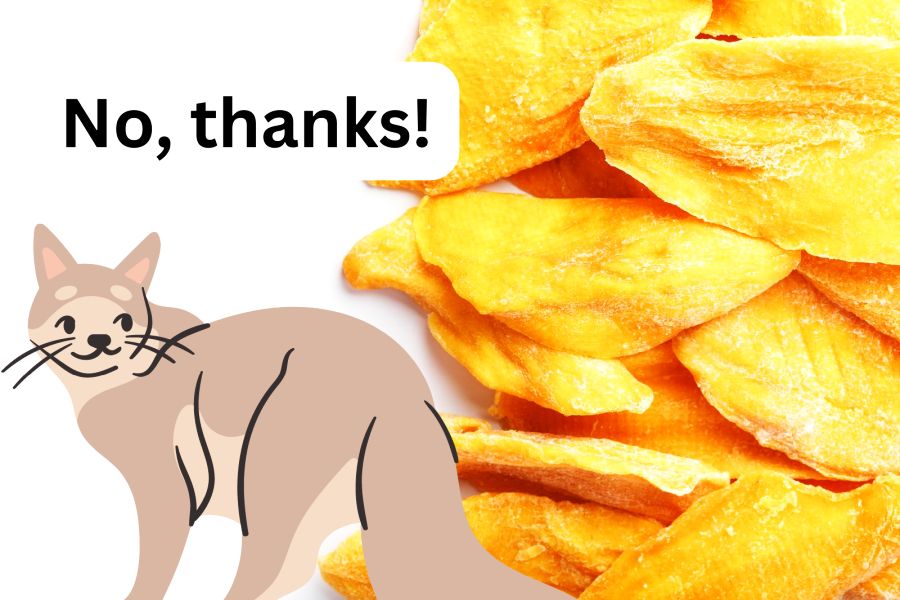 Is Dried Mango Safe for Cats?