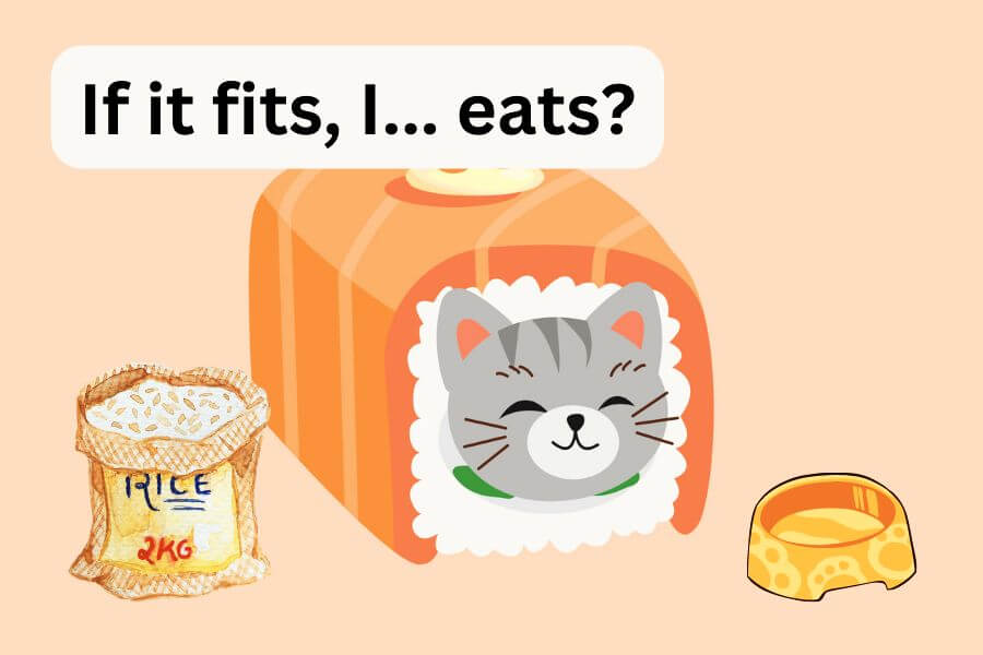 Is Plain White Rice Bad for Cats?