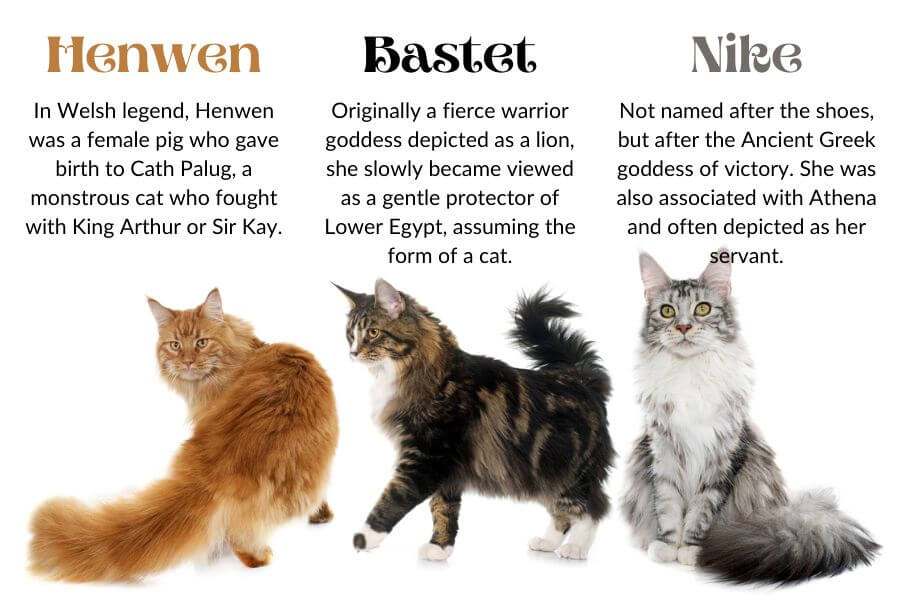Powerful Female Cat Names From Mythology