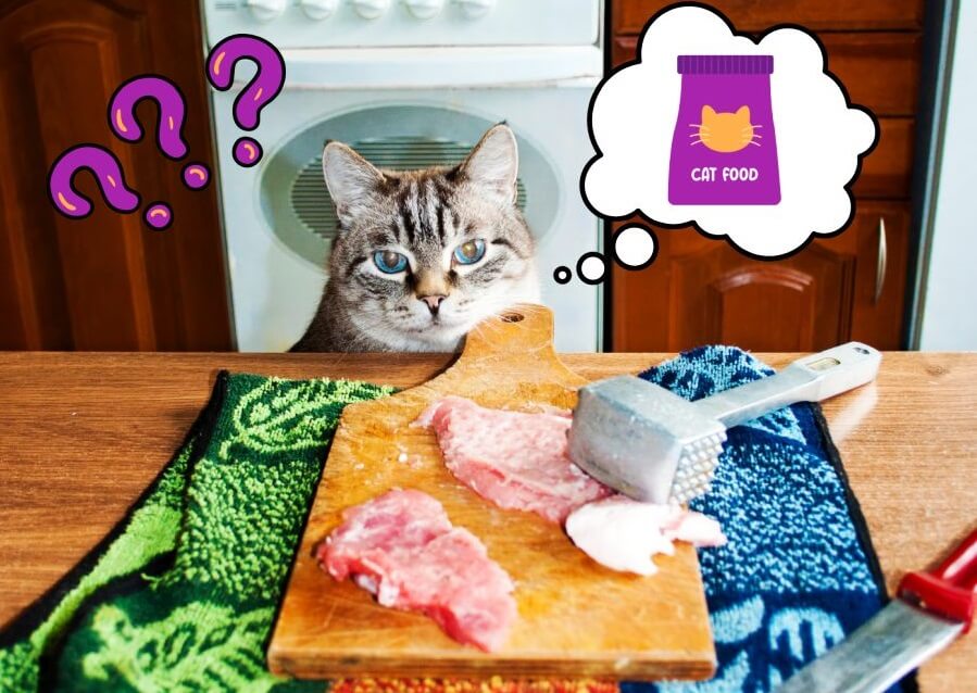 Raw Meat or Commercial Cat Food: Which Diet Is Better?