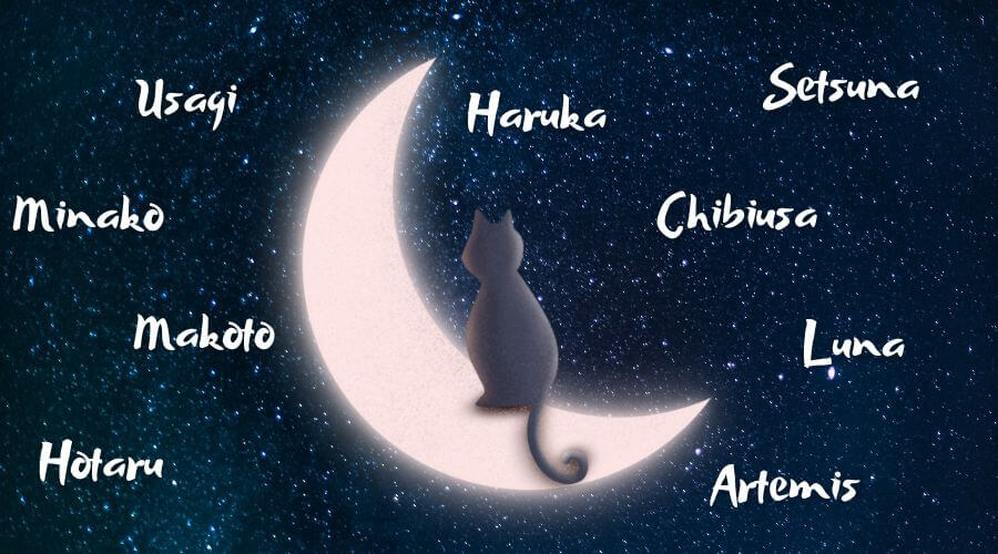 sailor moon cat names inspired by main characters