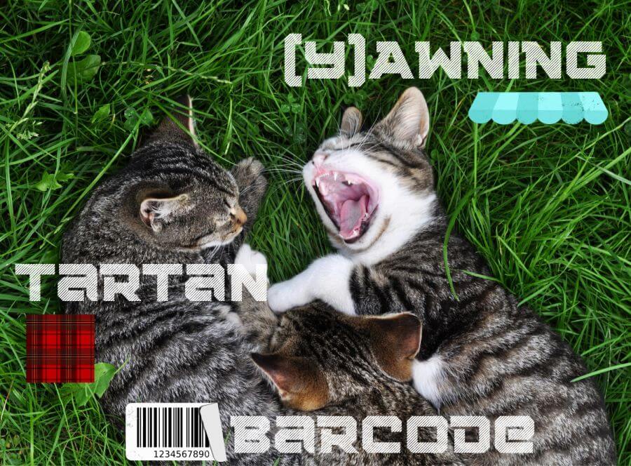 Tabby Cat Names Inspired by Striped Things
