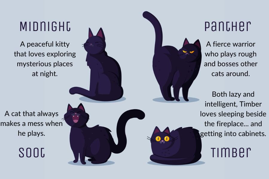 Unisex Cat Names for Black Cats