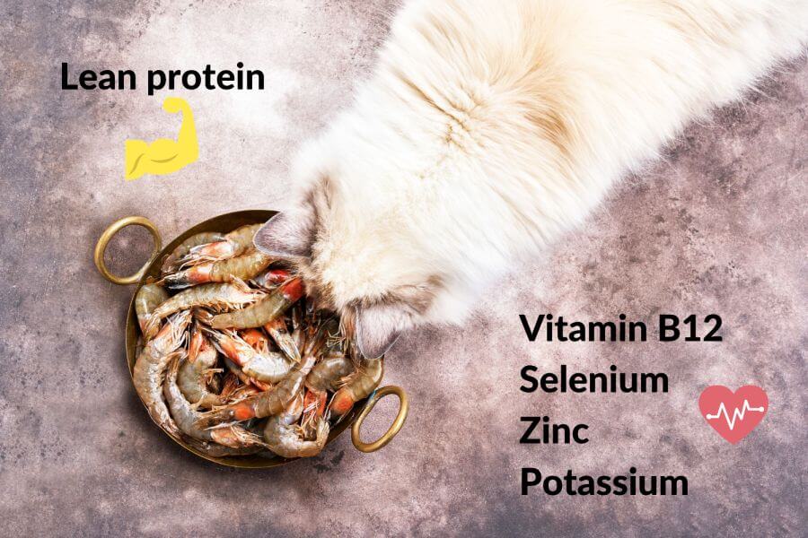 What Are the Benefits of Eating Shrimp?