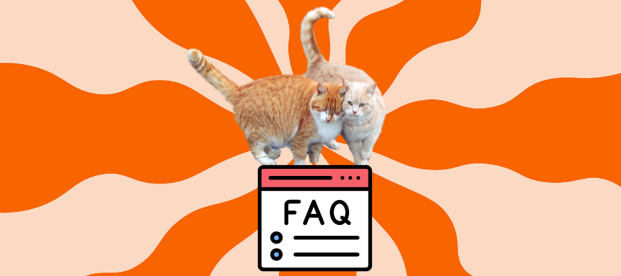 Kitty Head Butts FAQs