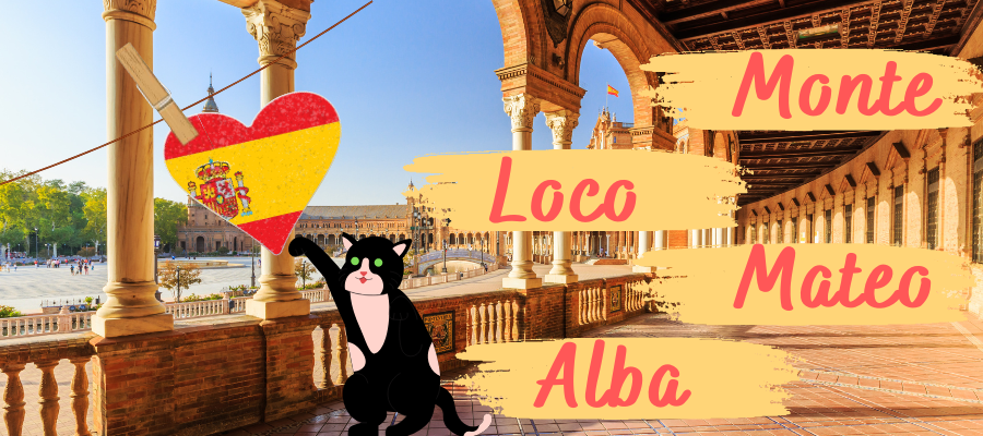 Spanish Cat Names With Meaning